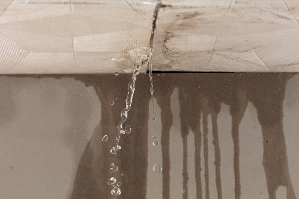 Professional Flood Damage Cleanup technician working in Allenton, MI